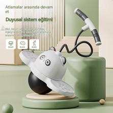 Checkered Wind Panda Zıplama Top Zıplama Çocuk Spor Oyuncak (Yurt Dışından)