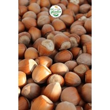 Kabuklu Fındık Yeni Mahsul - 1 kg