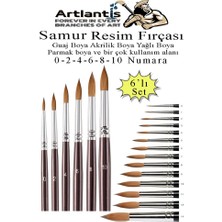 Artlantis Resim Fırçası 0 - 2 - 4 - 6 - 8 - 10 Numara 1 Paket 6 Lı Samur Yuvarlak Uçlu Fırça Seti Guaj Sulu Akrilik Yağlı Boya Fırçaları