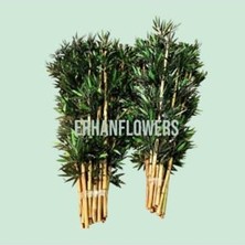 Bambu 5 Adet 100 cm Çubuk Yapay Agaç Çubukları Bahçe Balkon Ev Dekor Bitki Botanik