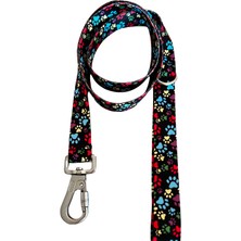 Pawlook Köpek Gezdirme Tasması