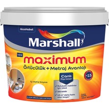 Marshall Maximum Silikonlu İpek Mat Cesur Toprak 2,5 lt. (3,5 kg)