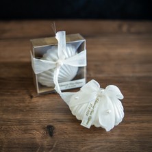 Toprak Ana Kadın Kooperatifi Süslemeli Istiridye Mum. Düğün, Kına, Nişan, Söz, Nikah Hediyelik Kutu 15 Adet