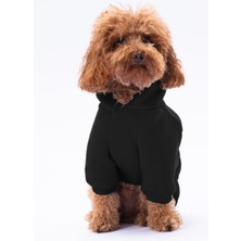 Pettrend Siyah Kanguru Cepli Kedi-Köpek Hoodie- Sweatshirt