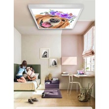 Gökyüzü Panel ÇOCUK-ODASI-AVIZE-60 x 60-54W-LED-ARMATÜR-GENÇ-ODASI-AVIZE-DESENLI-PANEL-EN-ŞIK-ÇOCUK-ODASI-LED-LAMBA