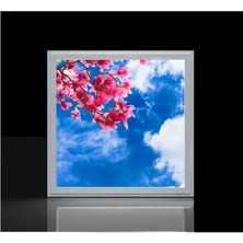 Gökyüzü Panel Ev Koridor 60WATT-BÜYÜK Boy 60 x 60 -Led Avize- Tavan Aydınlatma Lambası-Tavana Yapışık MODEL-60WAT