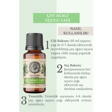 Mesir Efendi Çay Ağacı Uçucu Yağı (Tea Tree Essential Oil)  Saf ve Doğal 20 ml