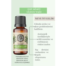 Mesir Efendi Çay Ağacı Uçucu Yağı (Tea Tree Essential Oil)  Saf ve Doğal 20 ml