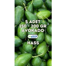 Avogarden Taze Avokado Hass 5'li Paket - 150 - 200 gr Arası