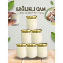 Milea 6 Adet Cam Bebek Mama Taşıma Saklama Kabı 210 cc Gold Kapaklı Oval Şekilli Dayanıklı