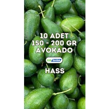 Avogarden Taze Avokado Hass 10'lu Paket - 150 - 200 gr