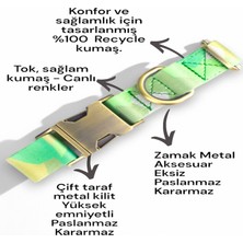 Caramelos İsimli Köpek Tasması, Orta Ve Büyük Irk Köpek Tasması Köpek İsimlik, metal Kilitli Tasma 2,5 cm