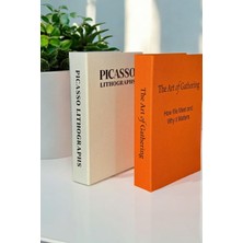 Saccura Decor Pıcasso & The Art Of Gatherıng 2li Kumaş Kaplı Dekoratif Kutu Seti