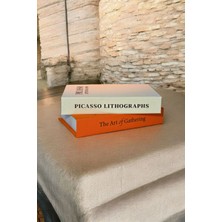 Saccura Decor Pıcasso & The Art Of Gatherıng 2li Kumaş Kaplı Dekoratif Kutu Seti