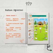 Özel Eğitimde Kavram Öğretimi + Rakam Kitabı + Fonolojik  Farkındalık  ( Özel Eğitim)