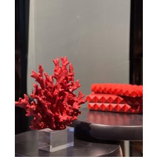 Dekoratif Kristal Mercan