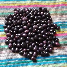 Anamur Naturel Geleneksel Doğal Tohum Poletschka Fasulye Tohumu (10 Tohum)