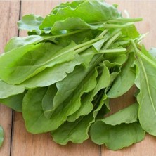 Anamur Naturel Geleneksel Anadolu Geniş Yaprak Ekşi Otu Kuzu Kulağı Tohumu (200 Tohum)