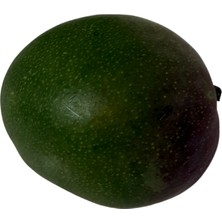 Avogarden Mango (Ithal) 2 kg