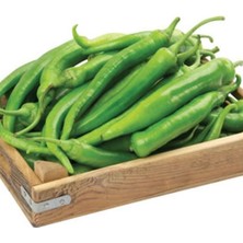 Ata Tohumu Salçalık Közlemelik Kızartmalık Şah Acı Etli Sivri Biber Tohumu (70 Tohum)