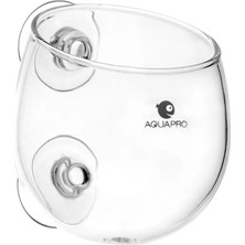 Aquapro Glass Plant Pot Cam Bitki Saksısı
