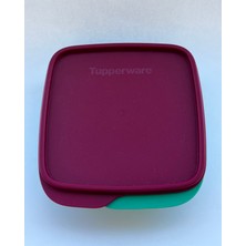 Tupperware Bölmeli Beslenme Kutusu