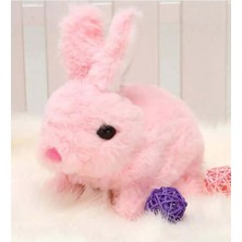 Yürüyen, Sesli Hareketli Sevimli Peluş Bunny Tavşan - Sweet Bunny
