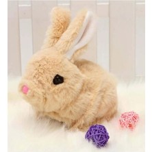 Yürüyen, Sesli Hareketli Sevimli Peluş Bunny Tavşan - Sweet Bunny