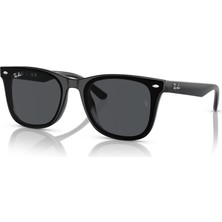Ray-Ban RB4420 601/87 65 Erkek Güneş Gözlüğü