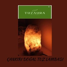 Çankırı Doğal Model Tuzlambası3 3,4 kg