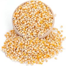 Popcorn Mısır (Cin Mısır)