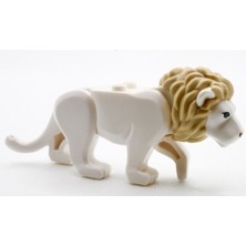 Orjinal Aslan Lion Cat