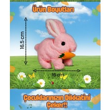 Tavşan Oyuncak