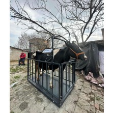 Lider Özel Korumalı 3ton Canlı Hayvan Baskülü