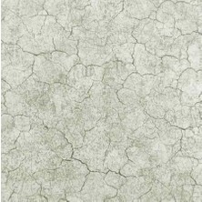 Ankawall Vision Duvar Kağıdı 2403-2 (16.5m2)