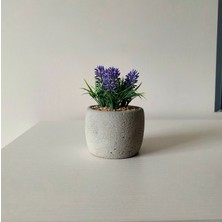 Objevi Beton Saksıda Yapay Kır Lavantası (6×18 cm) – Doğal ve Şık Dekoratif Ürün