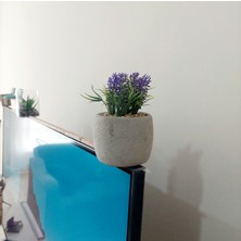 Objevi Beton Saksıda Yapay Kır Lavantası (6×18 cm) – Doğal ve Şık Dekoratif Ürün