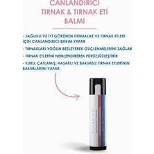 Botanivo Canlandırıcı Tırnak & Tırnak Eti Balmı | Besleyici & Güçlendiren | Organik Içerikli | 3x5 ml Stick