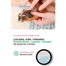 Botanivo El ve Pati Bakım Seti | Senin & Evcil Dostun Için Birlikte Bakım Keyfi | Organik | 2X30 ml