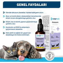 OneVet Glukozamin Damla 50 ml Kedi ve Köpekler İçin Vitamin Takviyesi