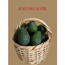 Has Organik Avokado 1kg Mini Boy