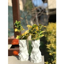 3D Yazıcı ile Üretilmiş Pla Mermer Desenli Vazo (8X8X14 Cm)