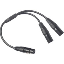 Xlr 1 Fiş Ayırıcıya 2" (Yurt Dışından)