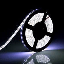 5metre LED Şerit 5050 DC12V 6500K Soğuk Beyaz (60LED/M) IP65 Işık Aydınlatma Lambası Hortum Kendinden Yapışkanlı