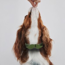 Zeynep Birinci El İşçiliği Hakiki Deri Köpek Tasması