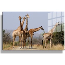 Marsilyan Eğlenceli Hayvanlar, Yapay Zeka Destekli, 3D Dekoratif Baskı Yatay Cam Tablo 670