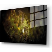 Marsilyan Doğa, Manzara 3D Dekoratif Baskı Yatay Cam Tablo 01