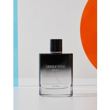 Koton Parfüm Gentle Wind 100 ml