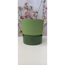 Ixora 9 cm Saksı Genişlik 9 cm Yükseklik 9 cm ( 400 ml )