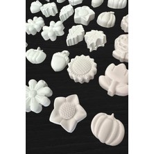 30 Adet Çiçek ve Yaprak (3d)- Beton/taş/figür/büst Boyama Seti-Çocuk Boyama Etkinliği